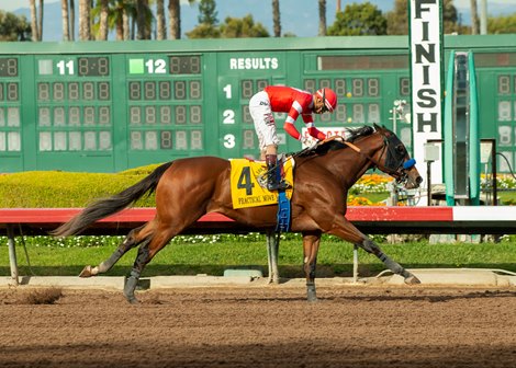 Los Alamitos Releases Winter Stakes Schedule