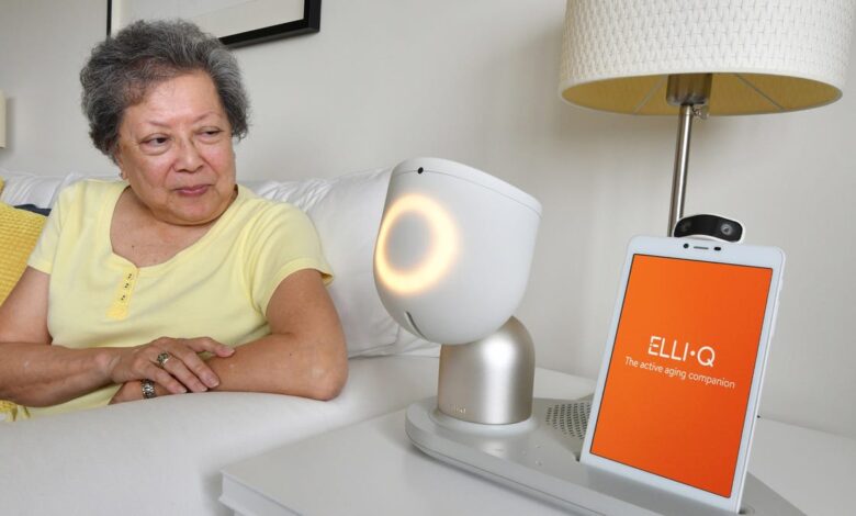 Can AI curb loneliness in older adults? This robot companion is proving it's possible