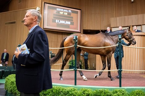 GSW Skims Sells to Summer Wind Equine for $1.8 million