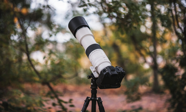 The Ultimate Aerial and Wildlife Lens? We Review the New Canon RF 200-800mm f/6.3-9 IS USM