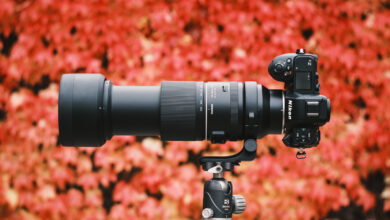 Not Too Big, Not Too Small: We Review the Tamron 150-500mm f/5-6.7 Di III VC VXD for Nikon Z