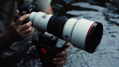 A Look at the New Sony FE 300mm f/2.8 GM OSS Lens