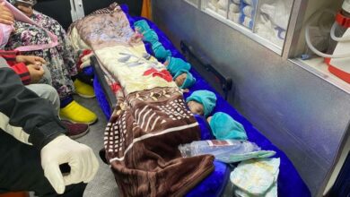 Newborns evacuated from Gaza's Al-Shifa Hospital arrive in Egypt : NPR