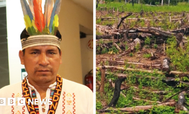 Quinto Inuma: Peru environmentalist who fought for Amazon shot dead
