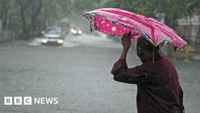 Cyclone Michaung: Heavy rains in southern India as storm makes landfall