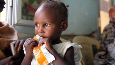 ‘Hunger catastrophe’ looming in war-ravaged Sudan, UN agency warns