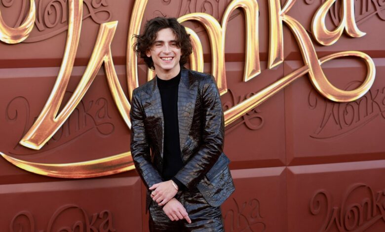 Timothée Chalamet Says ‘Wonka’ Was His Most Challenging Film Yet