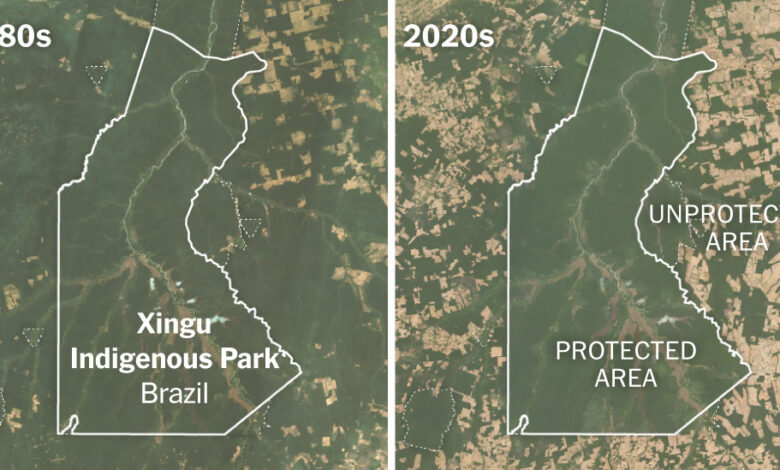 How Much Can Forests Fight Climate Change? A Sensor in Space Has Answers.