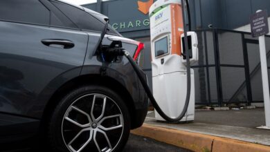 What electric car owners should do while driving these holidays