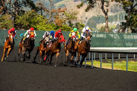 Sharp Cuts to Overnight, Stakes Purses at Golden Gate