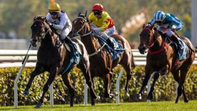 Tough Fields From Around the Globe Set for HK's Big Day