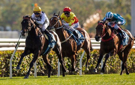 Tough Fields From Around the Globe Set for HK's Big Day
