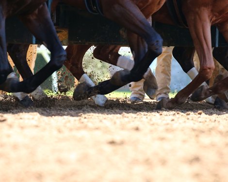 BH Survey: Industry Panel Discusses Racing Surfaces