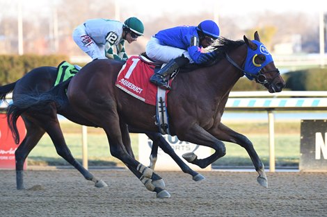 Antonio of Venice, My Shea D Lady Score in NYSS Stakes
