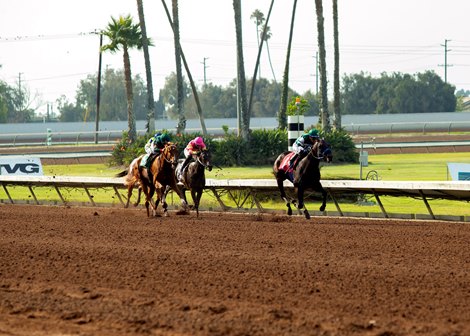 Los Alamitos Pix 6 Offered on Two Winter Meet Saturdays