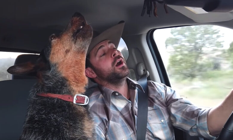 Dog Loves Country Music, But One Song Is Her 'Very Favorite'