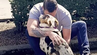 Man Clutches Hostile Dog From Dumping Ground, Whispers "I Trust Him"