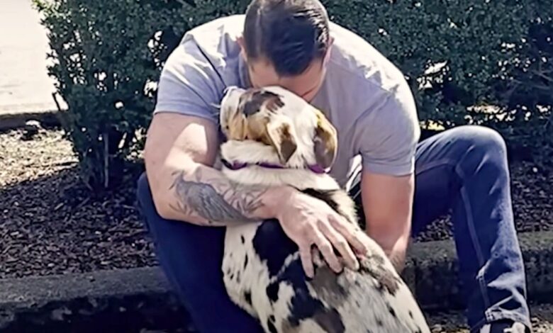 Man Clutches Hostile Dog From Dumping Ground, Whispers "I Trust Him"