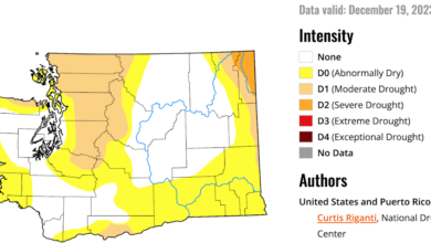 Cliff Mass Weather Blog: A Wet "Drought"