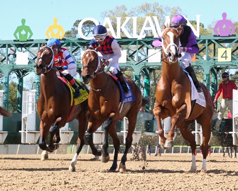 America's Day at the Races to Expand Oaklawn Coverage