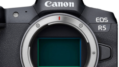 Will We See the Canon EOS R5 Mark II Soon?