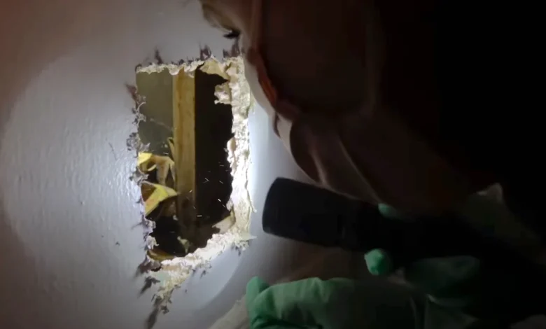 Tiny Cries Coming From Inside The Wall Prompt Homeowner To Call For Help