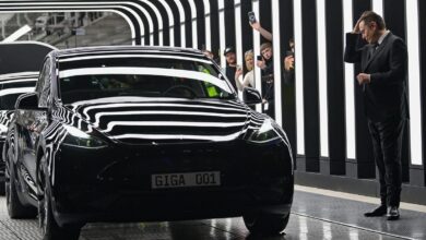 Danish Fund Dumps Tesla Stock After Musk Calls Strikes 'Insane'
