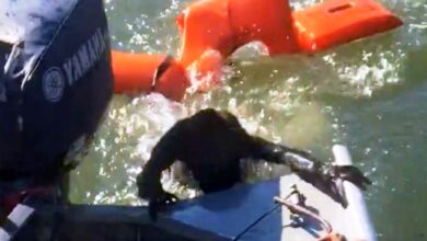 Fisherman Threw Life-Jacket To Save A Drowning Dog But It’s "Not A Dog" At All