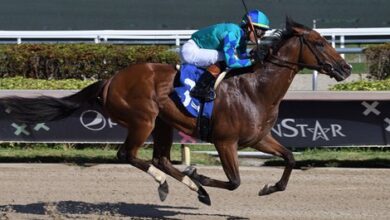 $1.05M Change of Command Romps at Gulfstream Park