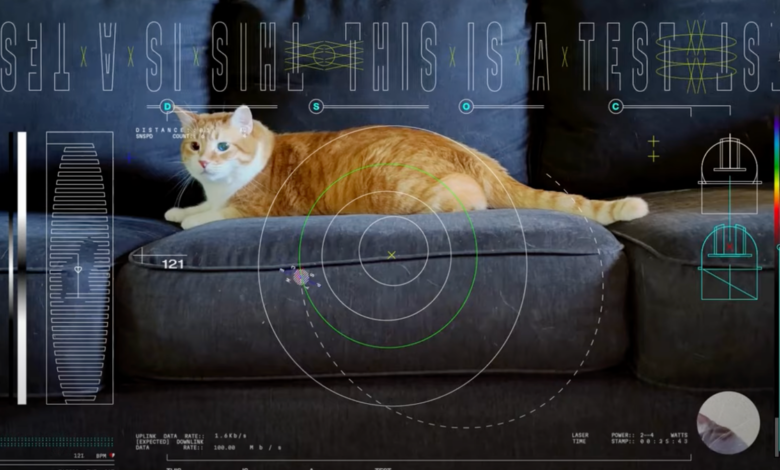 Watch The Cat Video That NASA Just Streamed From Deep Space