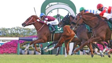 Regal Bloodlines Hold Promise in Japan's Hopeful Stakes