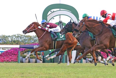Regal Bloodlines Hold Promise in Japan's Hopeful Stakes