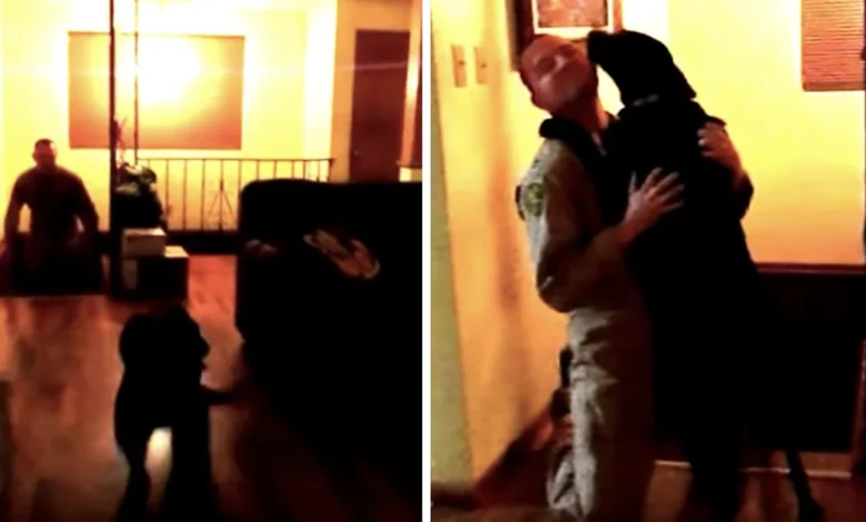 Dog Sees Her Dad After A Long 6-Months, Won’t Stop Talking To Him