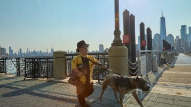 Traveling with an American Staffordshire Terrier: Tips for Success