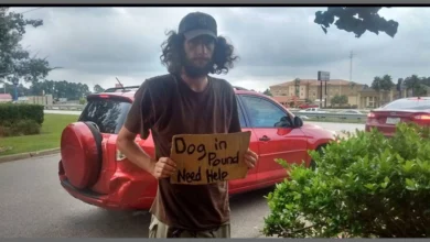 Homeless Man Stood Outside Walmart Pleading For Help For His Dog And Woman Came To His Rescue