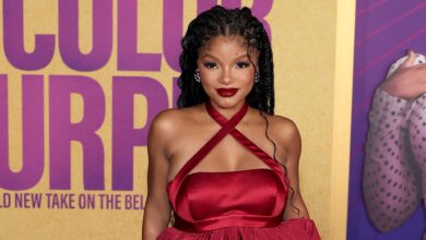 Halle Bailey Claps Back At Fan Over Decision To Hide Pregnancy