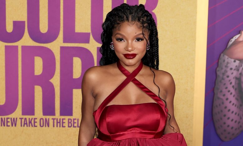 Halle Bailey Claps Back At Fan Over Decision To Hide Pregnancy