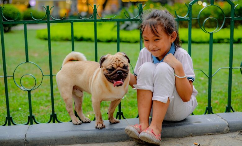 12 Dog Breeds Known for Their Unconditional Love and Affection