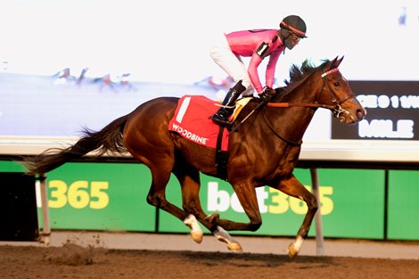 Witwatersrand Shifts to Dirt in Forward Gal