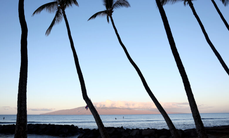 A 39-year-old surfer died in Hawaii after being injured in a 'shark encounter' : NPR
