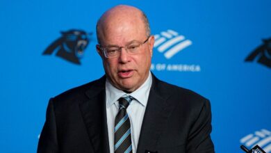 Panthers owner David Tepper appears to toss drink at fans