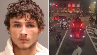 Armed Biker Who Assaulted Philly Woman And Kids Pleads Guilty