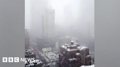 World famous New York skyline obscured by snow