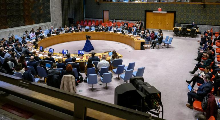 Security Council hears Gaza famine 'almost inevitable' unless aid is massively scaled up
