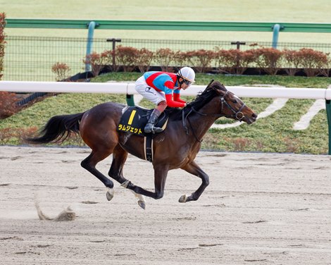 Ramjet Grabs Lead in "Japan Road to the Kentucky Derby"