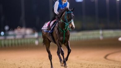 Talented, Diverse Field for Japan's February Stakes