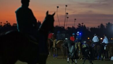 CA Horse Industry Sees Economic Growth Since 2018