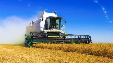 World Cereal Production Set To Hit Record High In 2023 – Watts Up With That?