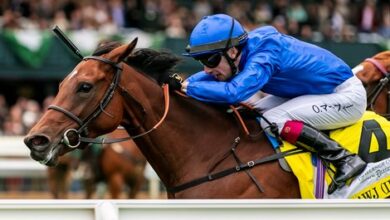 Dual G1 Winner, Breeders' Cup Mile Second Mawj Retired