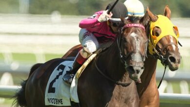 Competitive Turf Features on Weekend Tampa Bay Program